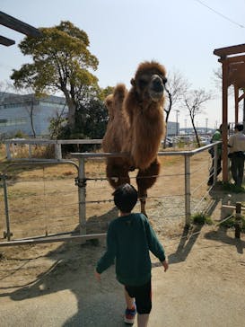 神戸どうぶつ王国に投稿された画像（2024/3/16）