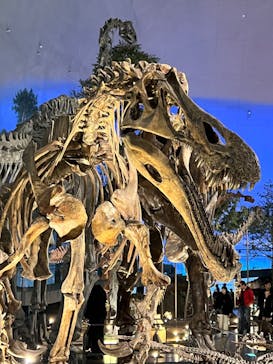 福井県立恐竜博物館に投稿された画像（2024/3/16）