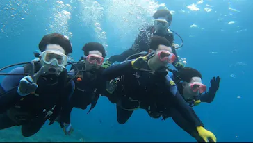 武藤潜水に投稿された画像（2024/3/16）