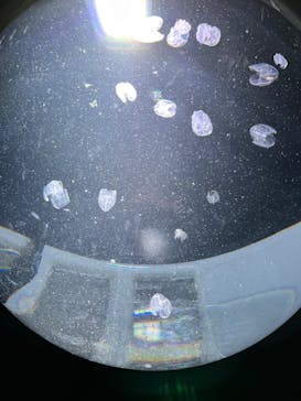 サンシャイン水族館に投稿された画像（2024/3/16）