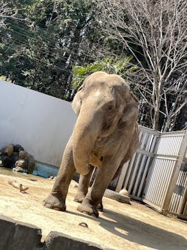 宇都宮動物園に投稿された画像（2024/3/16）