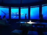 DMMかりゆし水族館に投稿された画像（2024/3/16）