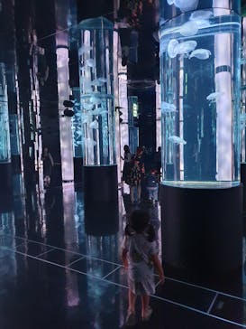 DMMかりゆし水族館に投稿された画像（2024/3/16）