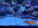 サンシャイン水族館に投稿された画像（2023/8/18）