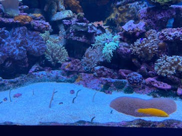 サンシャイン水族館に投稿された画像（2023/8/18）