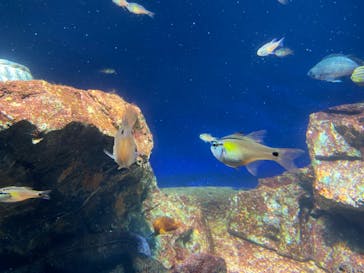 サンシャイン水族館に投稿された画像（2023/8/18）