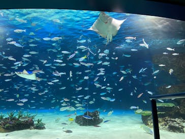 サンシャイン水族館に投稿された画像（2023/8/18）