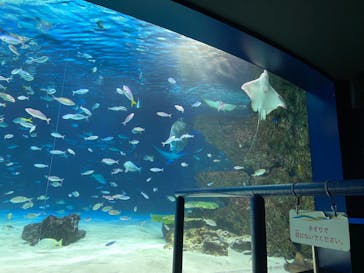 サンシャイン水族館に投稿された画像（2023/8/18）
