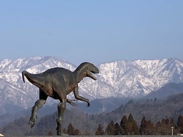 福井県立恐竜博物館に投稿された画像（2024/3/16）