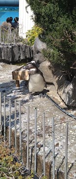 サンシャイン水族館に投稿された画像（2024/3/16）