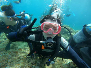 武藤潜水に投稿された画像（2024/3/16）