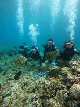武藤潜水に投稿された画像（2024/3/16）