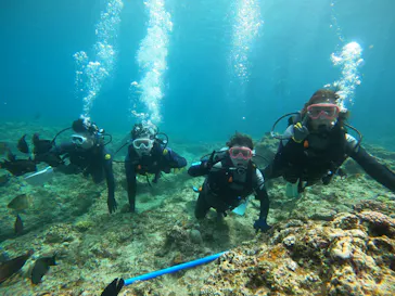 武藤潜水に投稿された画像（2024/3/16）