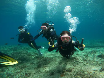 武藤潜水に投稿された画像（2024/3/16）