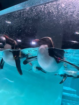 AOAO SAPPOROに投稿された画像（2024/3/16）