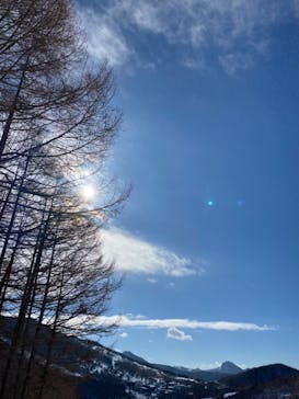 志賀高原焼額山スキー場に投稿された画像（2024/3/16）