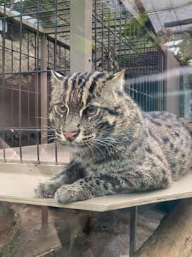 神戸どうぶつ王国に投稿された画像（2024/3/16）