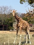 よこはま動物園ズーラシアに投稿された画像（2024/3/16）