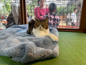 神戸どうぶつ王国に投稿された画像（2024/3/16）