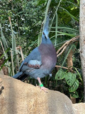 神戸どうぶつ王国に投稿された画像（2024/3/16）