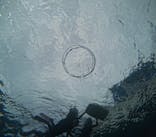 青の洞窟専門店　沖縄ダイビングショップ和に投稿された画像（2024/3/16）