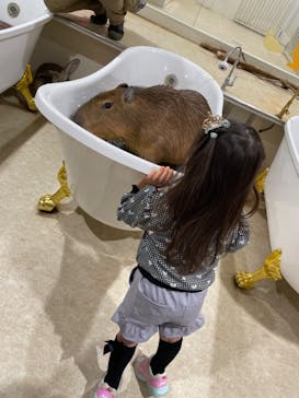 アニタッチアクアシティお台場に投稿された画像（2024/3/16）