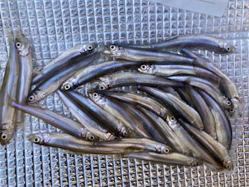 NaturaBaseに投稿された画像（2024/3/16）