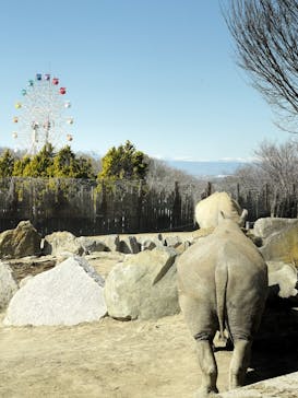 群馬サファリパークに投稿された画像（2024/3/16）