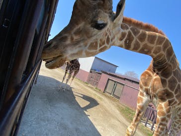 那須サファリパークに投稿された画像（2024/3/16）