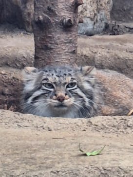 神戸どうぶつ王国に投稿された画像（2024/3/16）