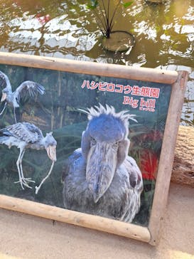 神戸どうぶつ王国に投稿された画像（2024/3/16）