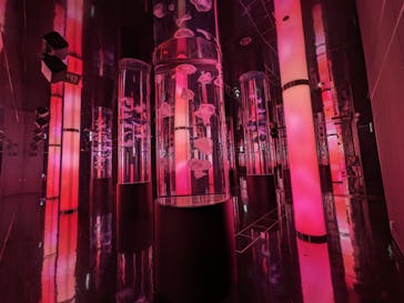 DMMかりゆし水族館に投稿された画像（2024/3/16）