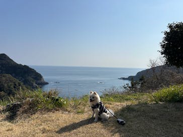 下田海中水族館に投稿された画像（2024/3/16）