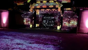 NAKED meets 二条城 2025 観月に投稿された画像（2024/3/16）