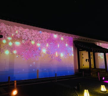 NAKED meets 二条城 2025 観月に投稿された画像（2024/3/16）