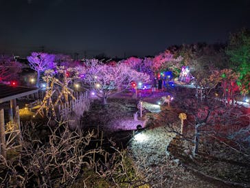 せんだい農業園芸センター　みどりの杜に投稿された画像（2024/3/16）