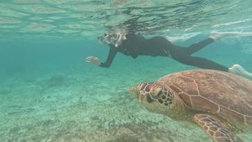 isola blue（イゾラブルー）に投稿された画像（2024/3/16）