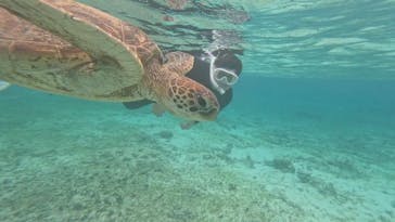 isola blue（イゾラブルー）に投稿された画像（2024/3/16）