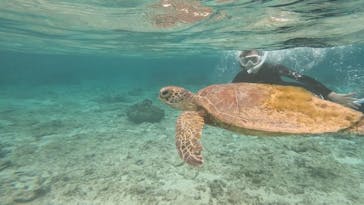 isola blue（イゾラブルー）に投稿された画像（2024/3/16）