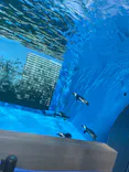 サンシャイン水族館に投稿された画像（2024/3/16）