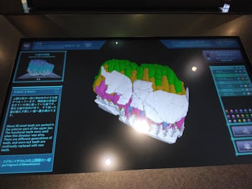 福井県立恐竜博物館に投稿された画像（2024/3/14）
