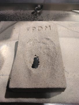 福井県立恐竜博物館に投稿された画像（2024/3/14）