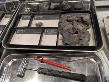 福井県立恐竜博物館に投稿された画像（2024/3/14）