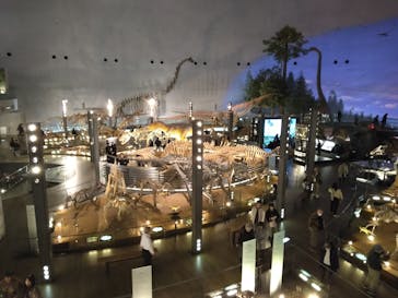 福井県立恐竜博物館に投稿された画像（2024/3/14）