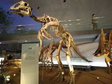 福井県立恐竜博物館に投稿された画像（2024/3/14）