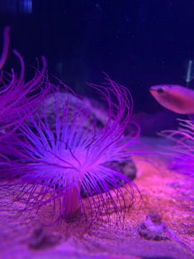 伊豆・三津シーパラダイスに投稿された画像（2024/3/16）