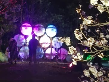 せんだい農業園芸センター　みどりの杜に投稿された画像（2024/3/16）