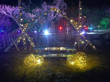 せんだい農業園芸センター　みどりの杜に投稿された画像（2024/3/16）