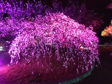 せんだい農業園芸センター　みどりの杜に投稿された画像（2024/3/16）