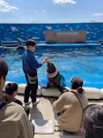 仙台うみの杜水族館に投稿された画像（2024/3/16）